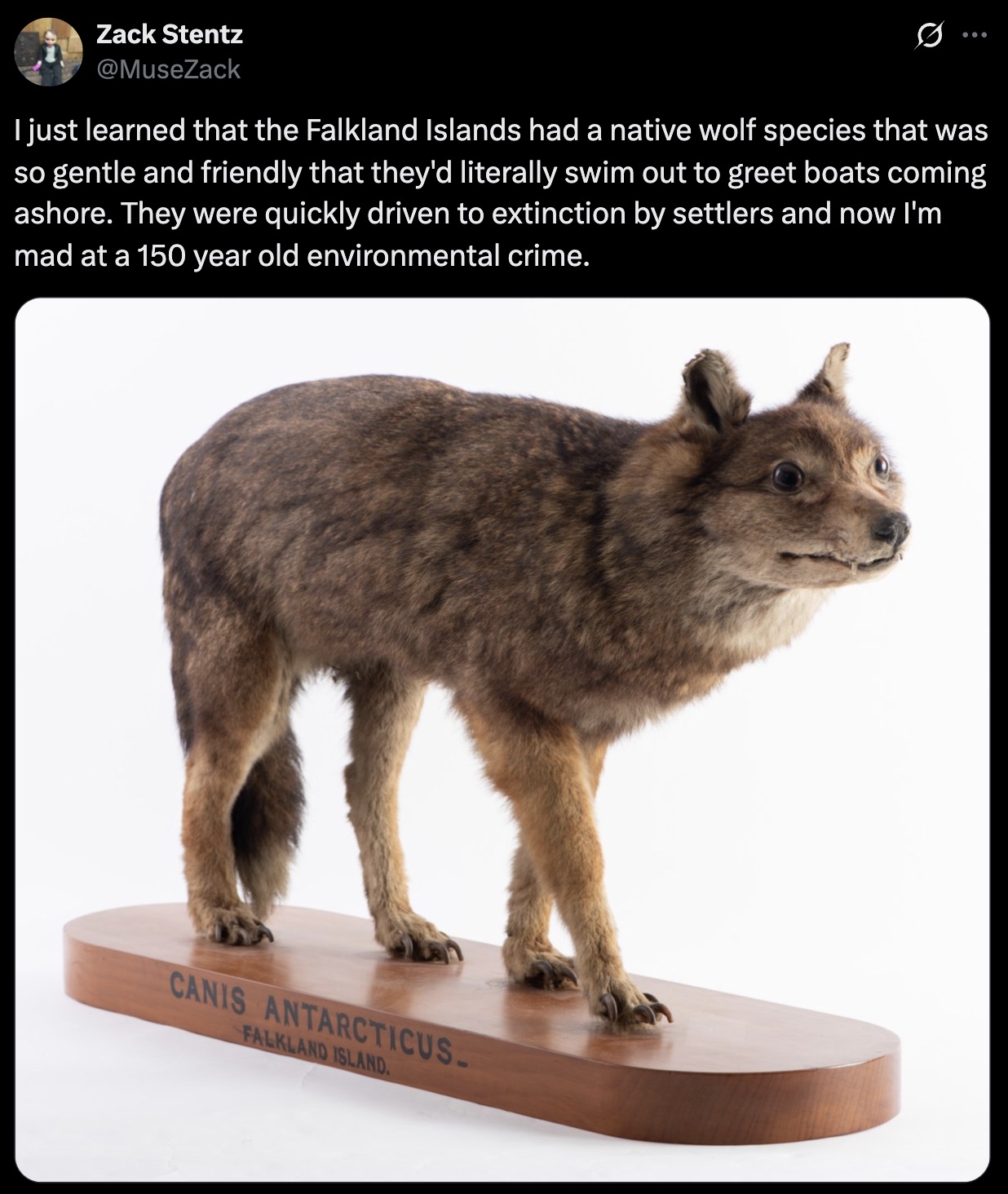 We're all mad about this.